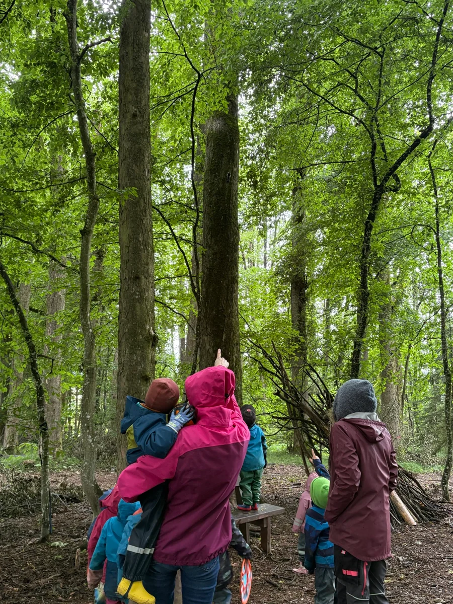 Foto der Galerie: Eindrücke aus dem Waldkindergartenjahr 2025/26
