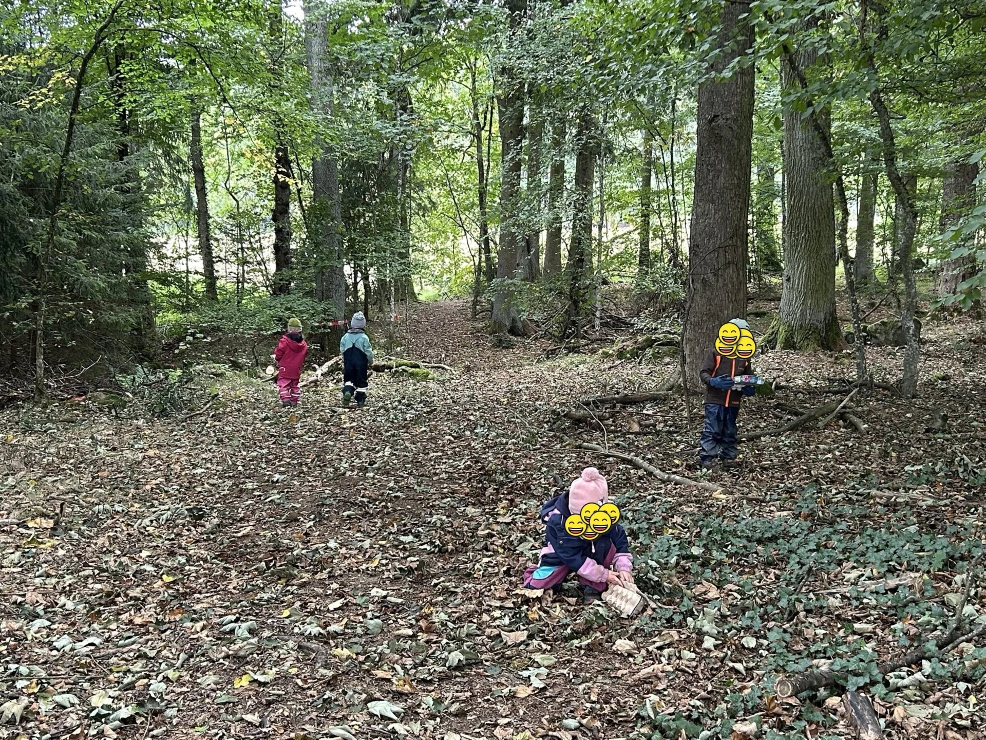 Foto der Galerie: Eindrücke aus dem Waldkindergartenjahr 2025/26