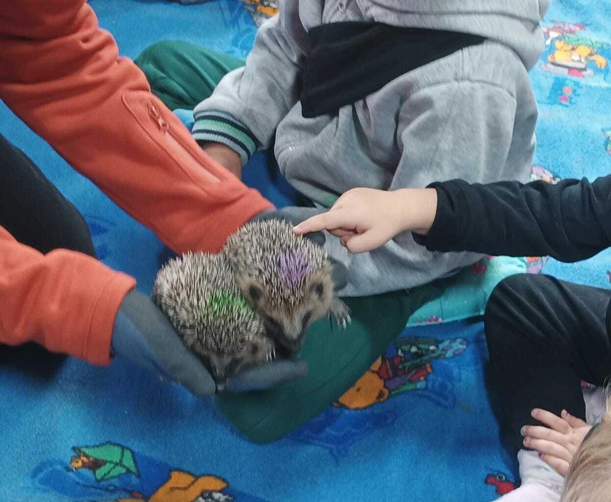 Foto der Galerie: Waldfüchse wurden IGEL-fiziert!