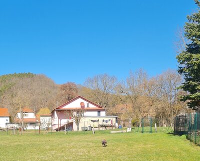 Vorschaubild der Galerie