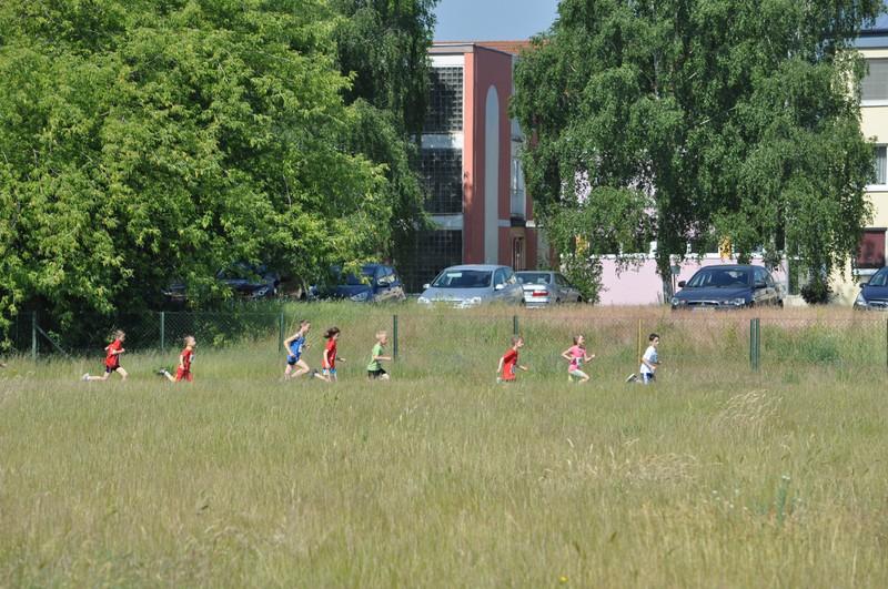 Foto der Galerie: Leichtathletik 2015 (April bis Juli)