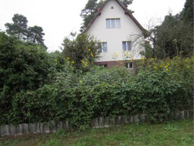 Grundst�ck