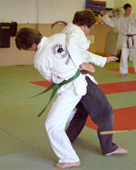 Vorschaubild Taekwondo-Verein Taeguk e.V. Wusterhausen