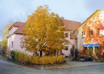 Vorschaubild Gasthaus-Ferienhof Alex