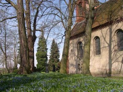 Frühlingserwachen an der Butzower Dorfkirche