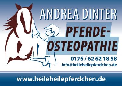 Vorschaubild Pferde-Osteopathie Andrea Dinter