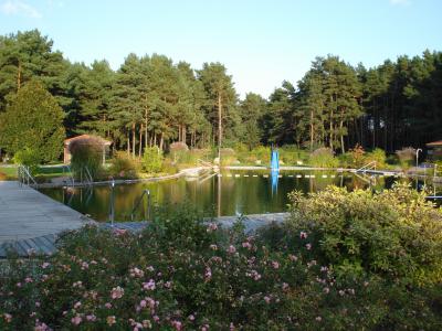 Logo Quelle: http://www.waldbad-borkheide.de