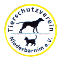 Tierschutzverein Niederbarnim E V Katzen