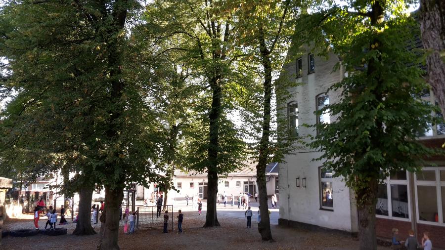 Städtische Gemeinschaftsgrundschule An Den Linden