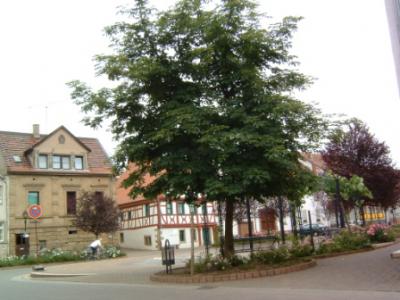 Vorschaubild Marktplatz von der Gemeinde Alsenz