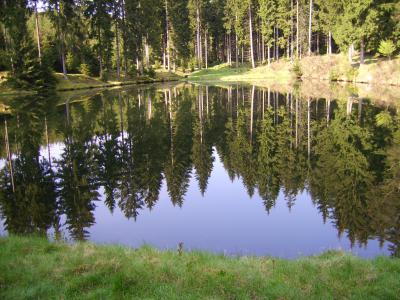 Vorschaubild Reichenbacher Teich
