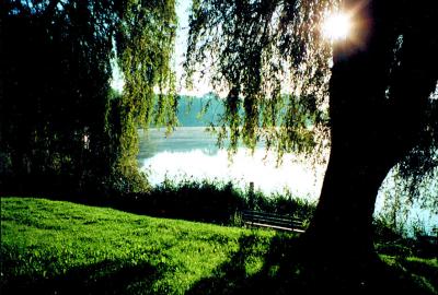 Vorschaubild Schwarzer See