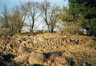 Vorschaubild Steingrab von Wilsen