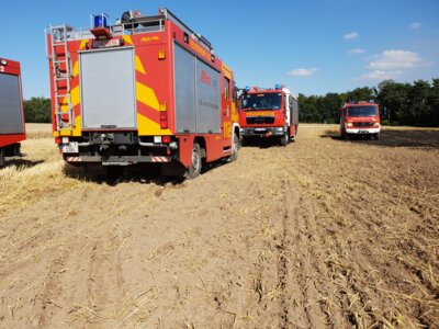 Flächenbrand