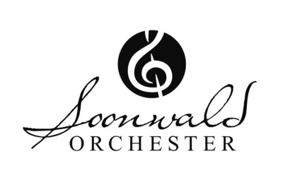 Vorschaubild Soonwaldorchester e.V.