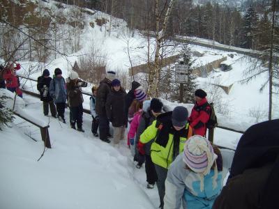 Foto zur Meldung: Wintersport der Klasse 5 in Geising