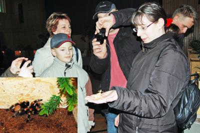 Foto zu Meldung: Mystische Gesch&ouml;pfe verzaubern Calauer