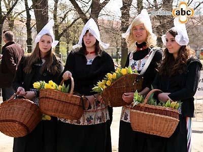 Foto zu Meldung: 40.000 Besucher auf Potsdamer Tulpenfest