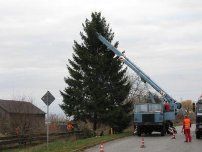 Der Weihnachtsbaum 2009