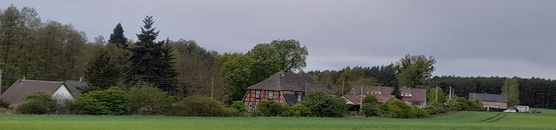 Bannerbild