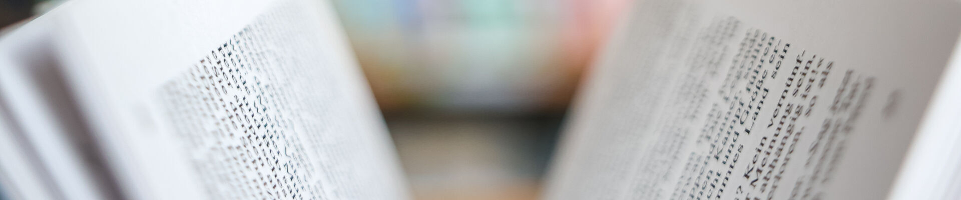 Bannerbild