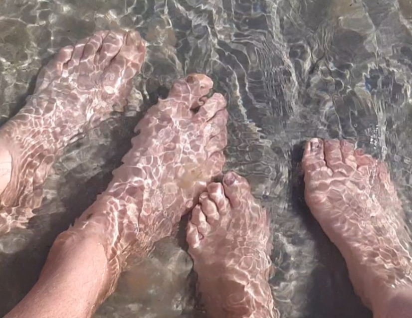 Bannerbild