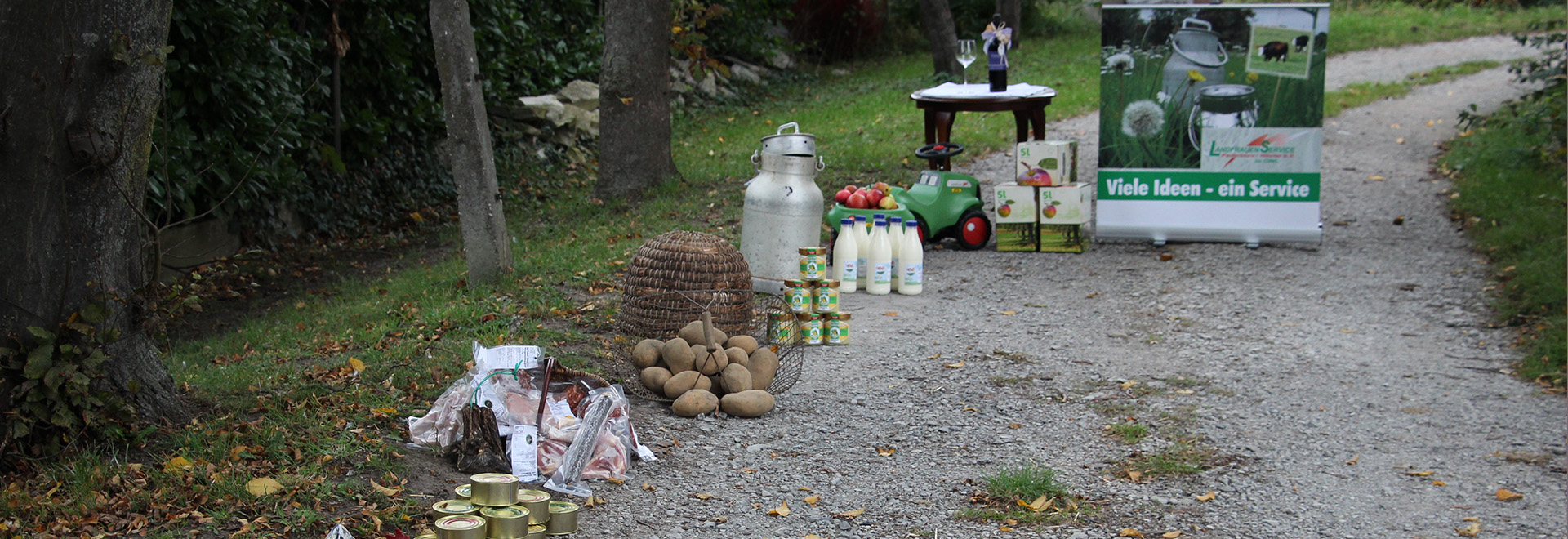 Bannerbild