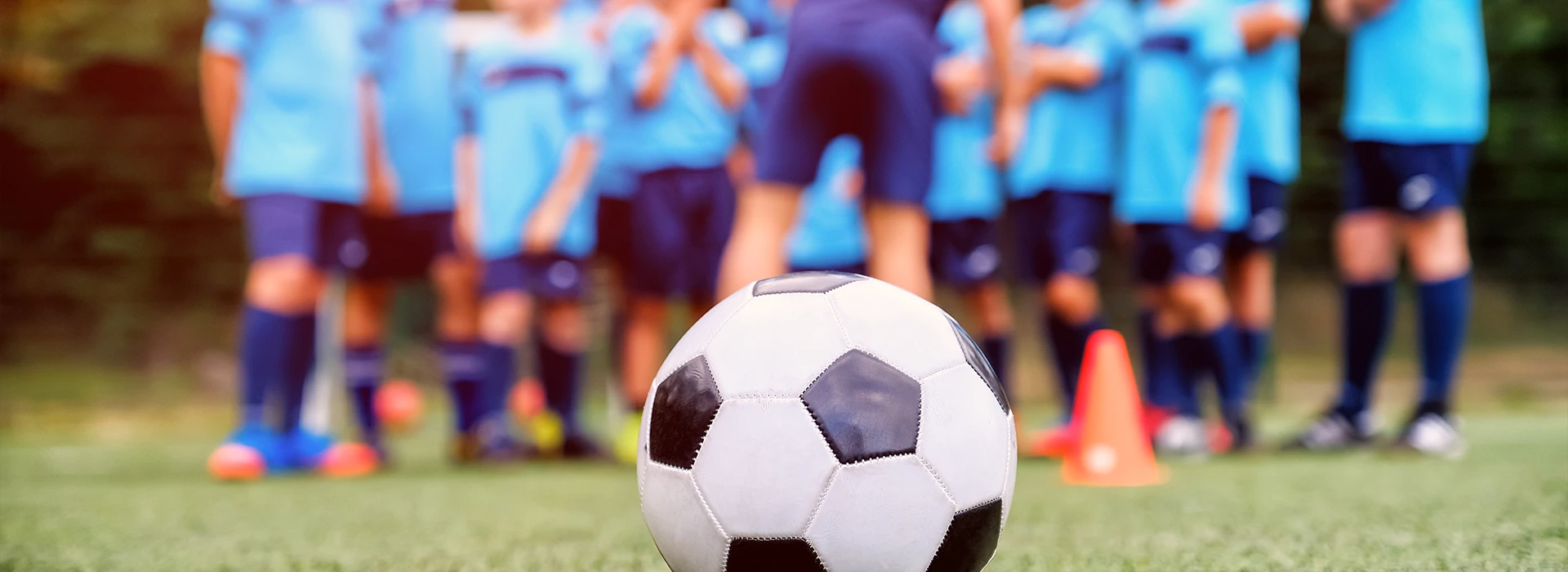 Bannerbild