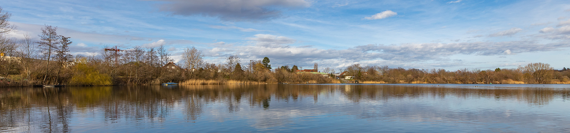 Bannerbild