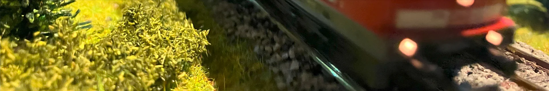 Bannerbild