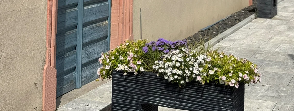 Bannerbild