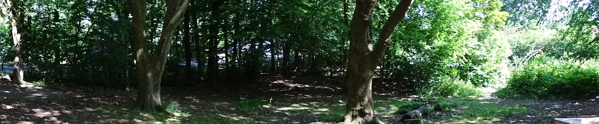 Waldstück