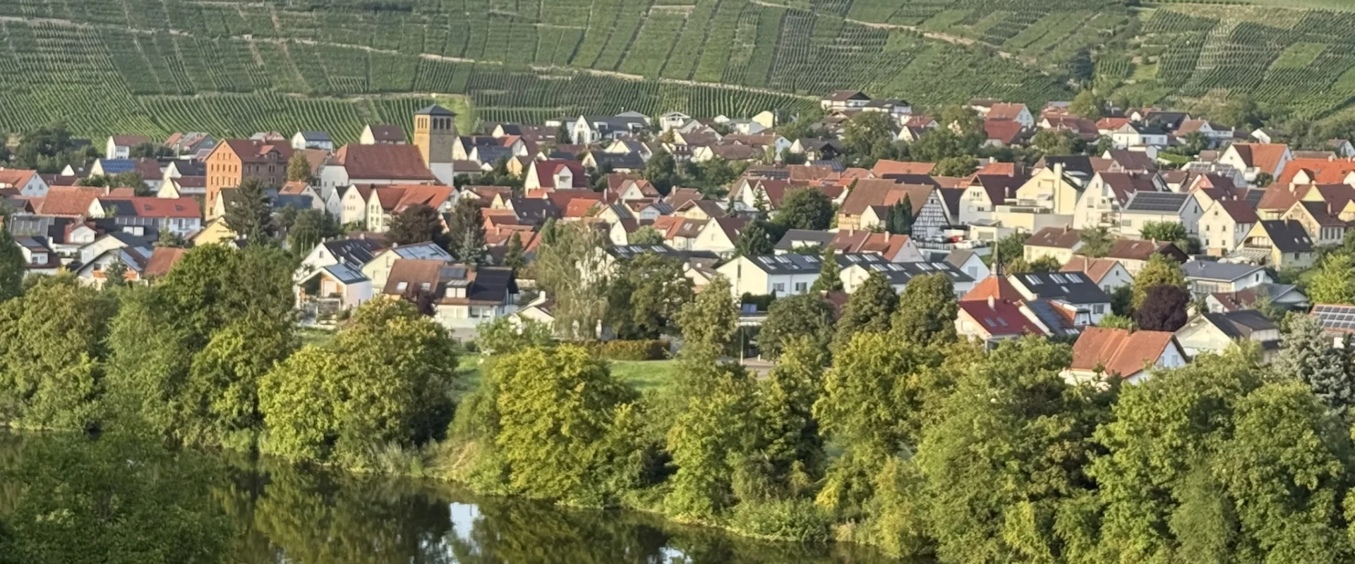 Bannerbild