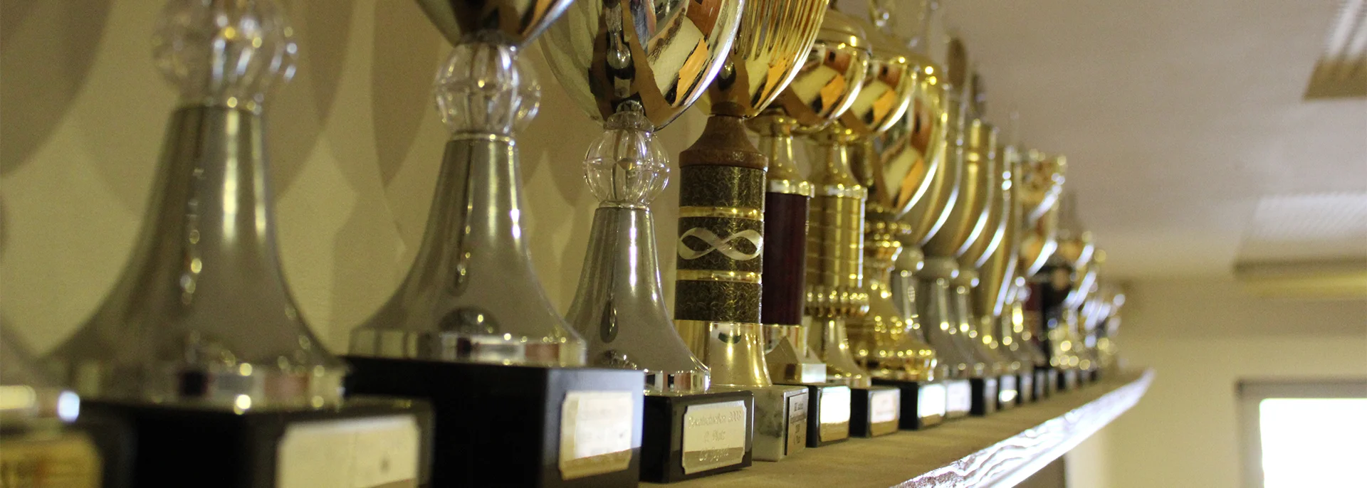 Bannerbild