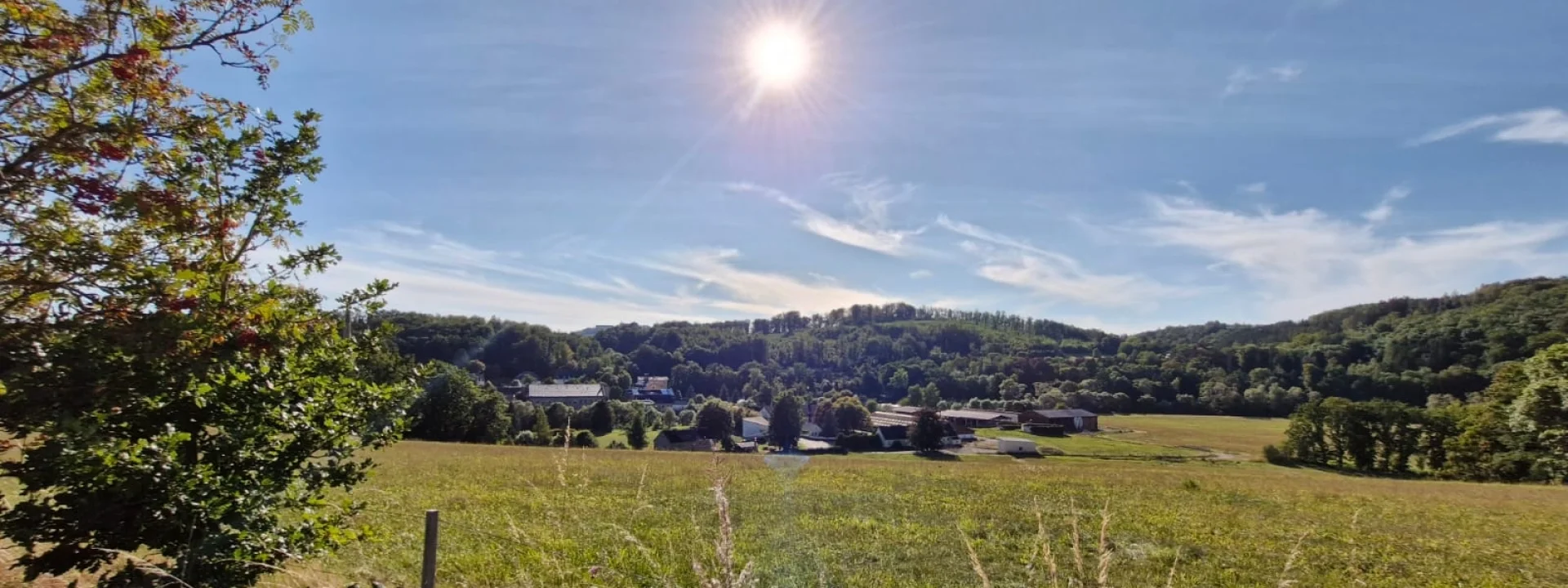 Bannerbild