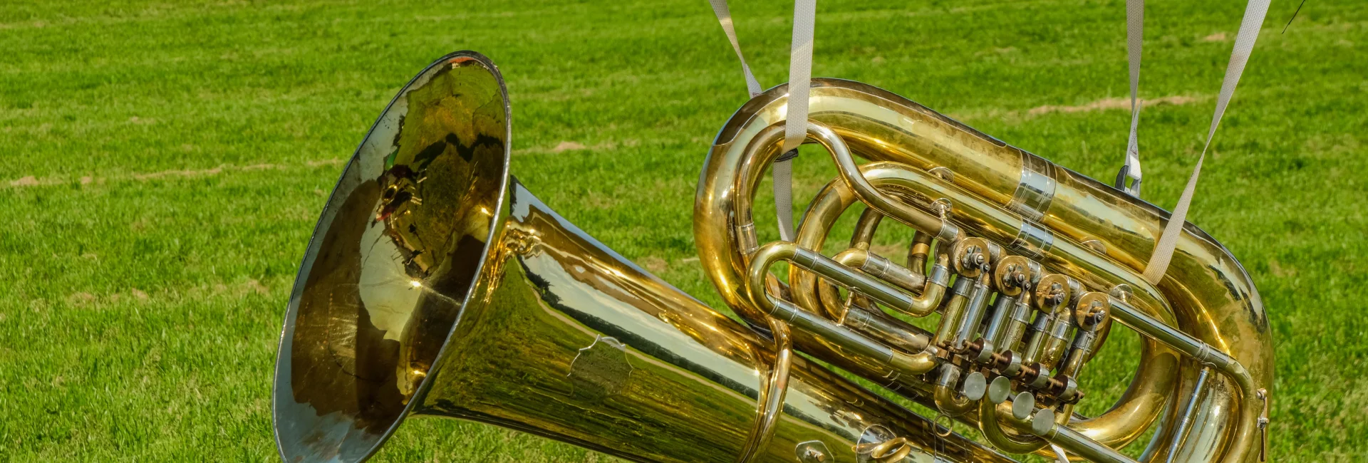 Bannerbild