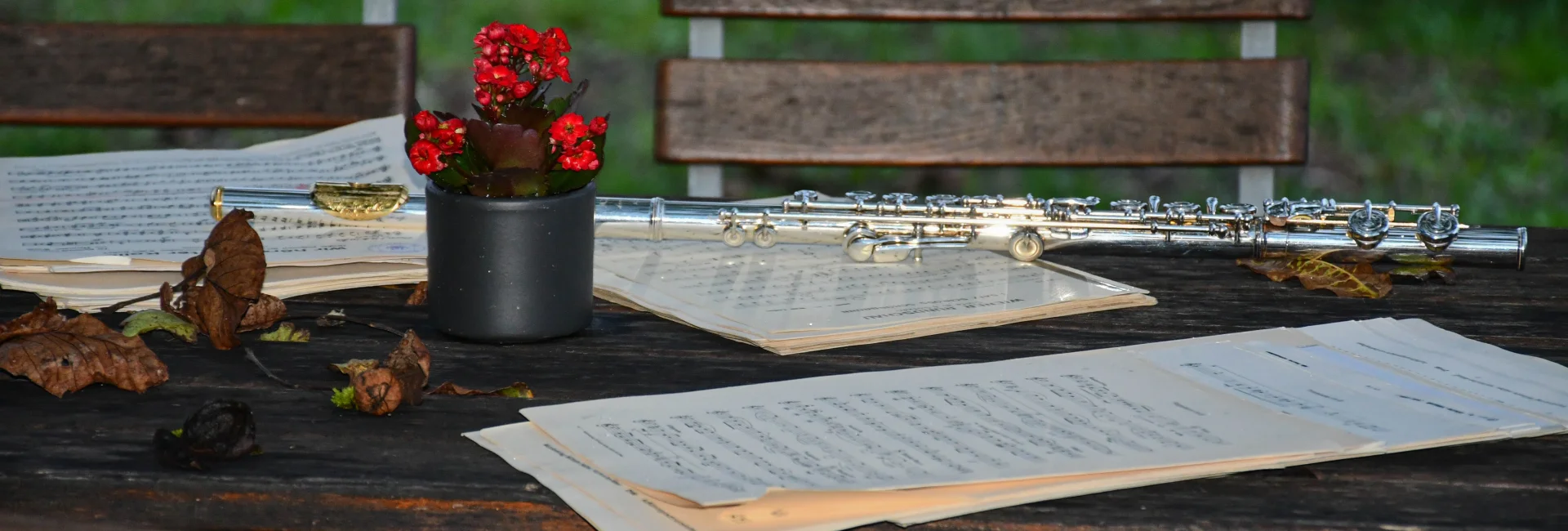 Bannerbild