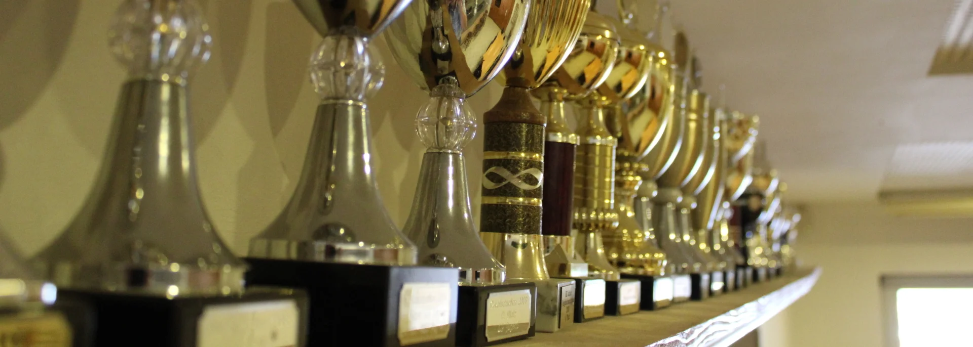 Bannerbild