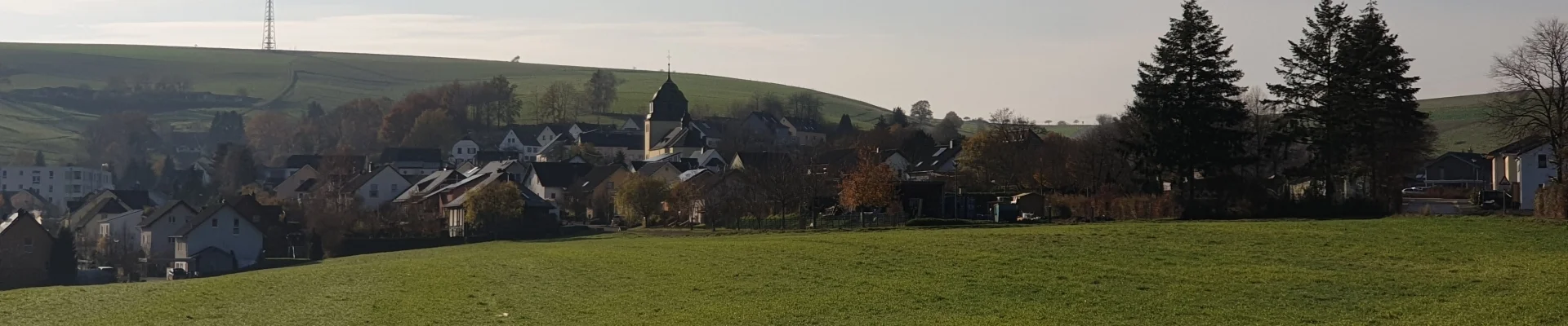 Bannerbild
