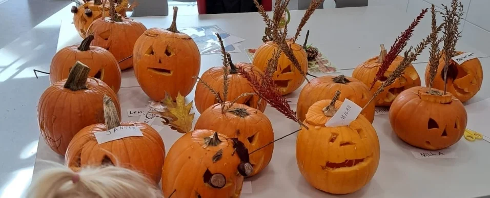 Bannerbild | zur Startseite