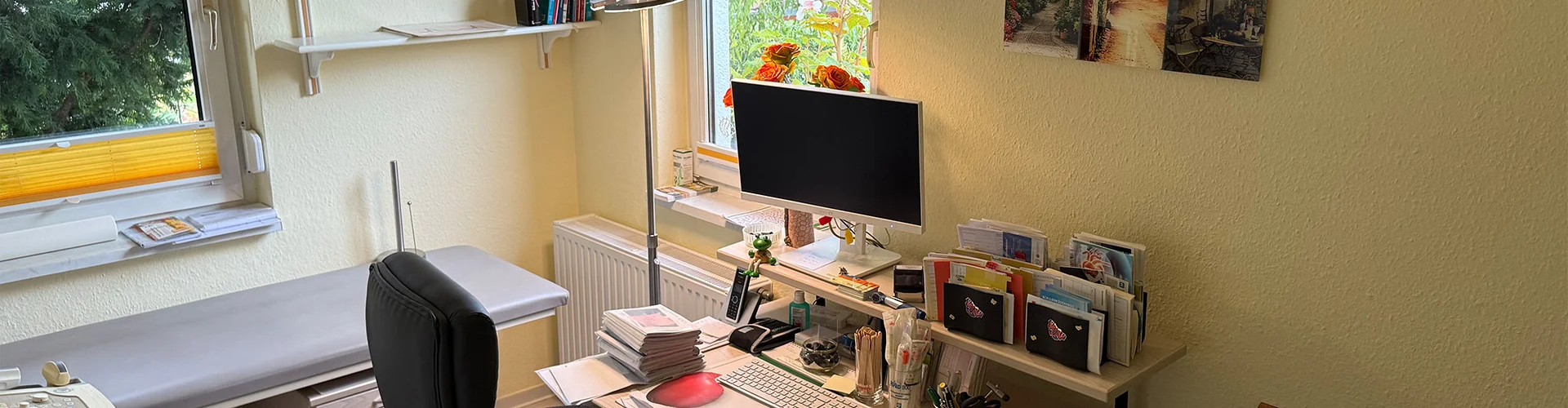Bannerbild