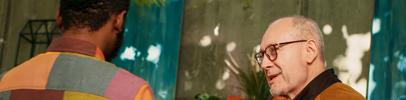 Bannerbild