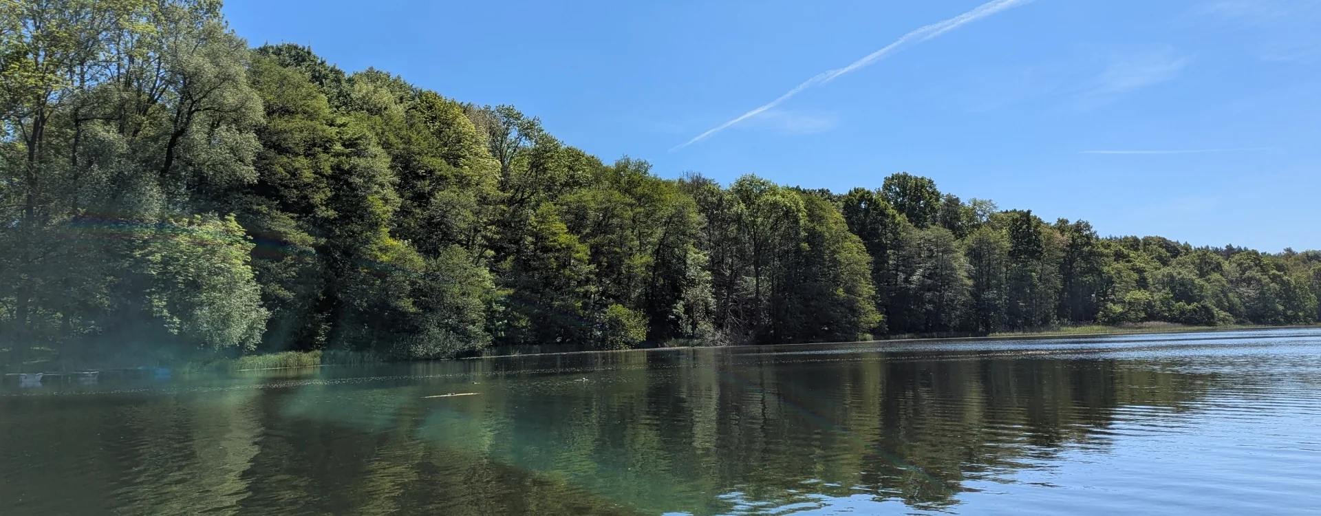 Bannerbild