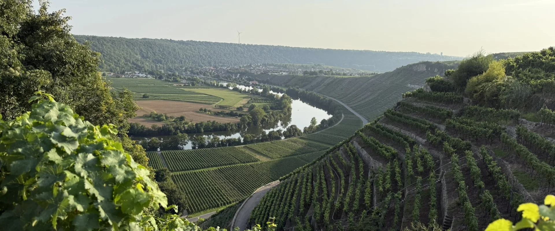 WeinbergPanorama