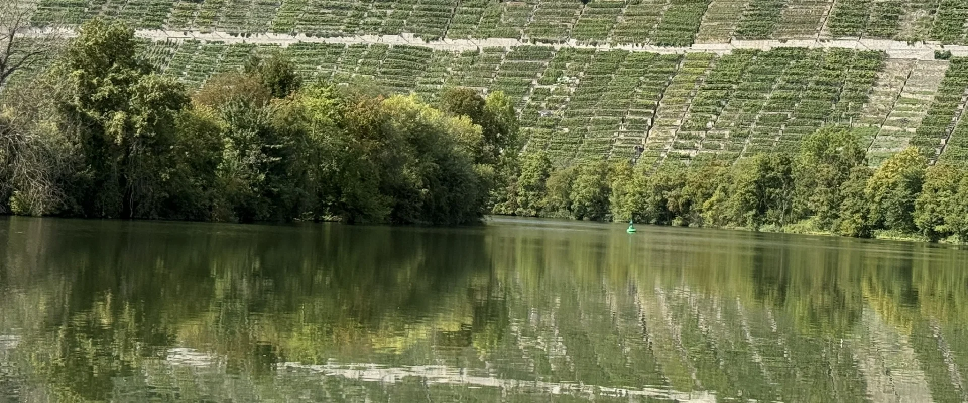 Neckar