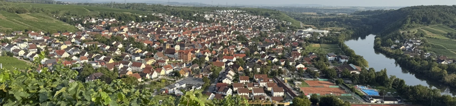 Bannerbild