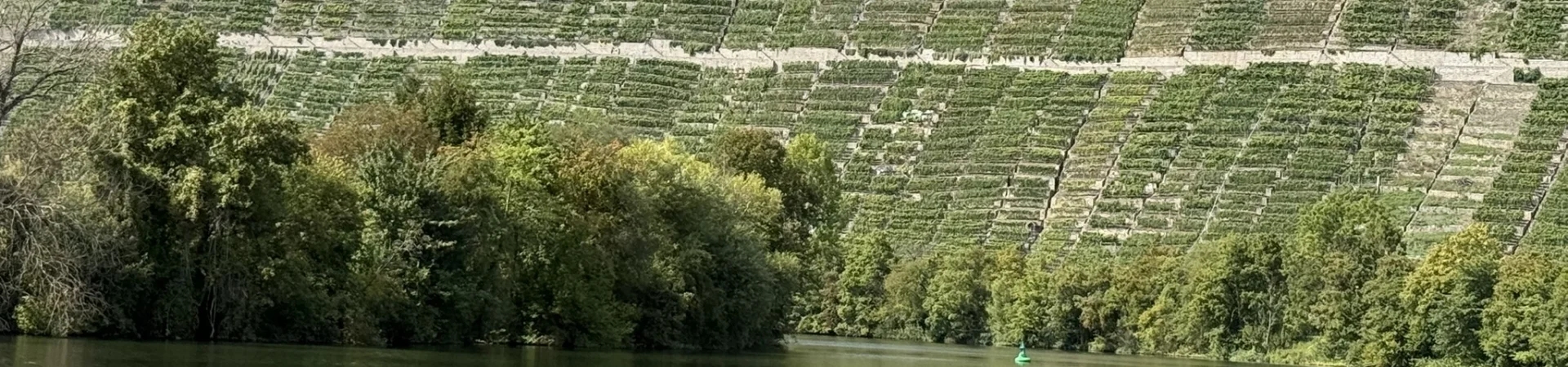 Neckar