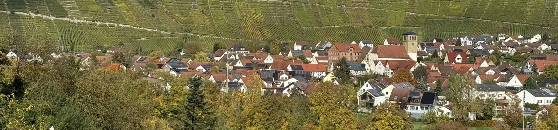 Mundelsheim