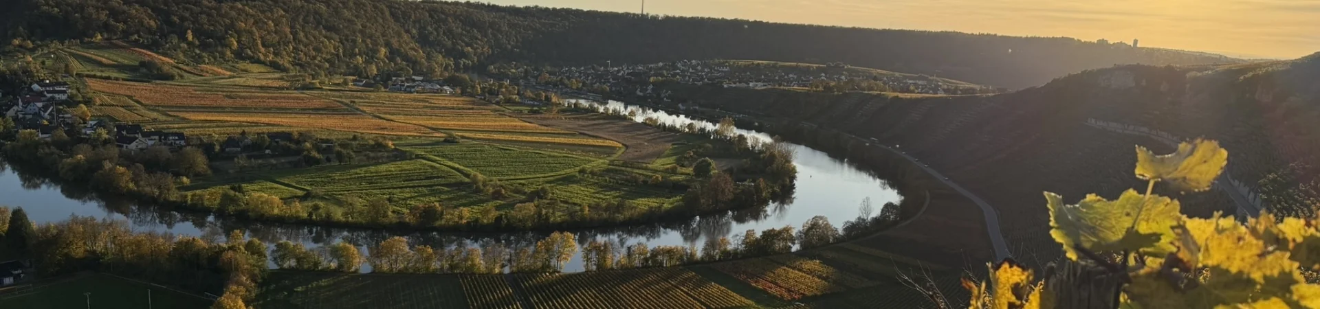 Herbst