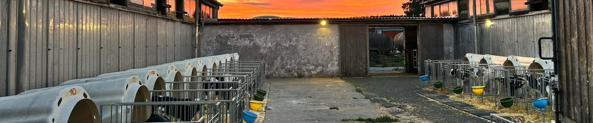Bannerbild